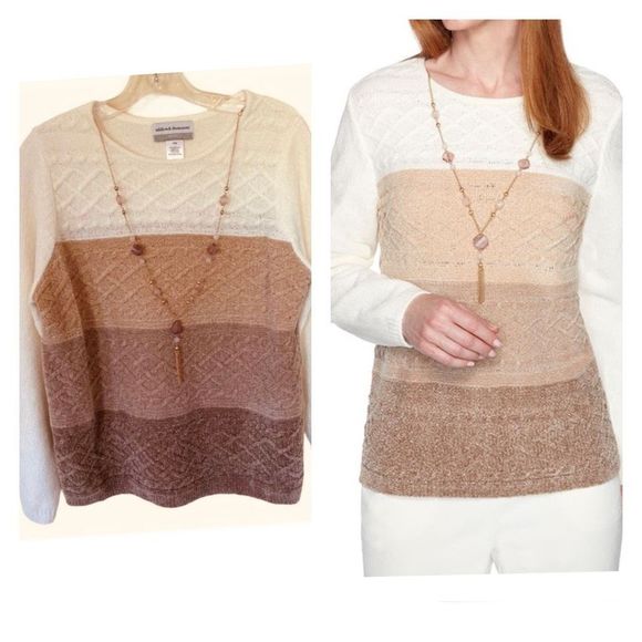 Alfred Dunner Velvety Striped With Necklace Sweater Sz MP NWOT - Picture 1 of 7